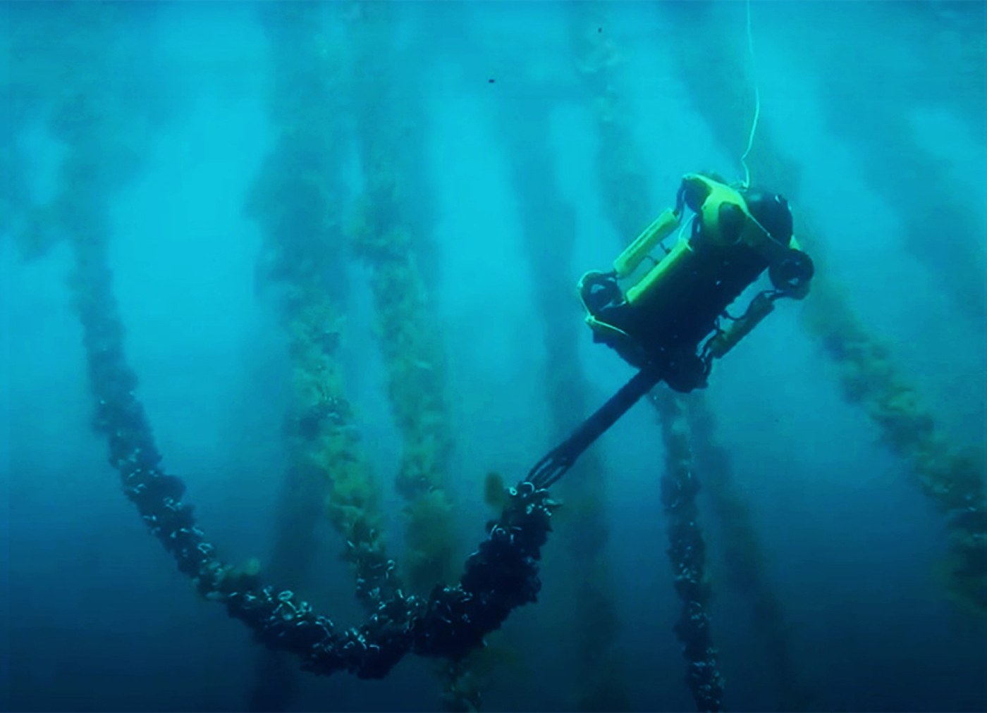 CHASING ROV inspecting aquaculture lines